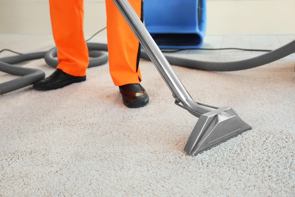 Carpet Bright UK – Sudbury